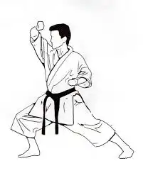 Dojo Fabiano Maciel Ornaghi