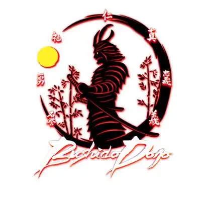 Dojo Bushido - Rogério Chagas