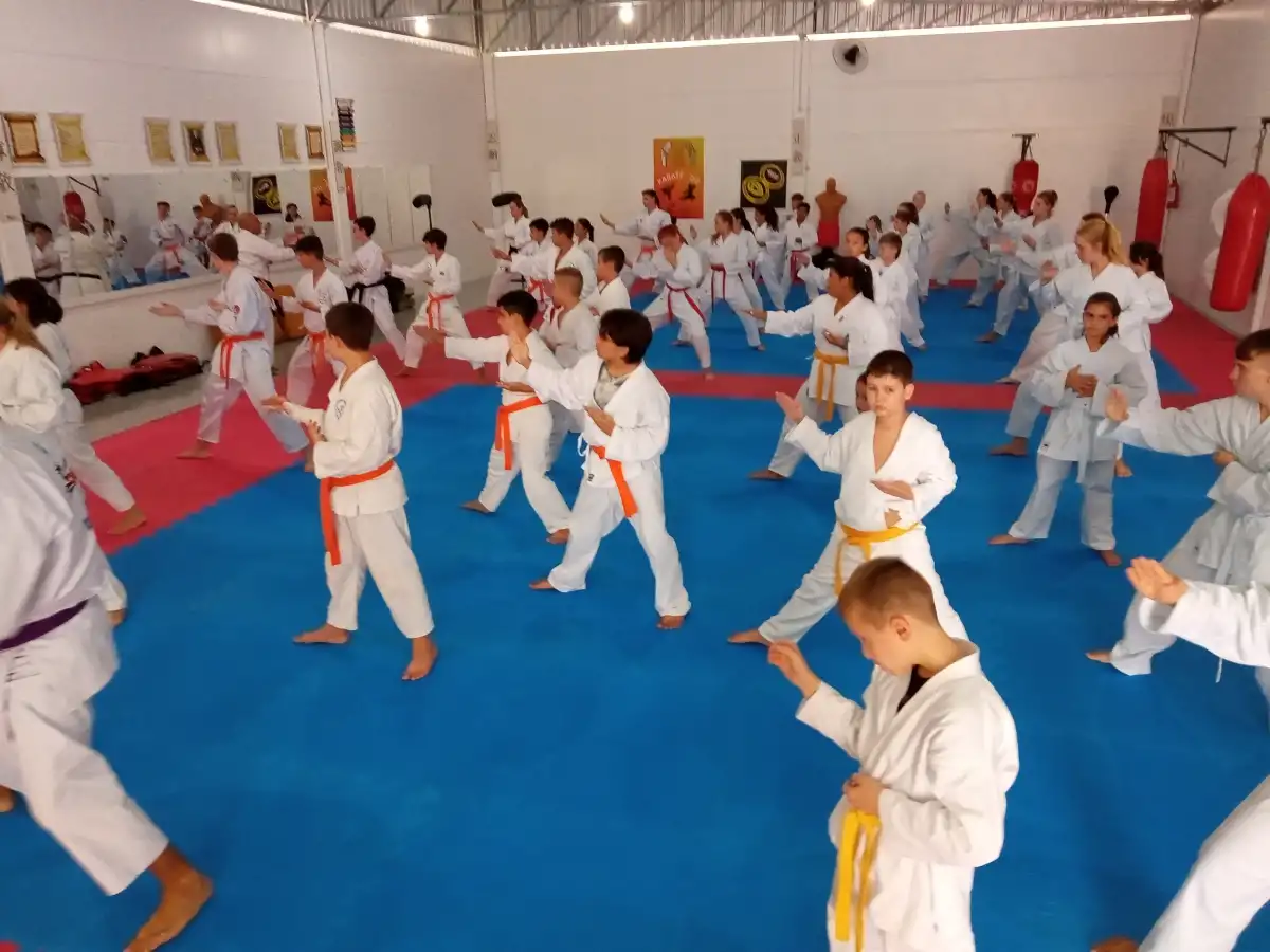 Curso Shiran Garcia