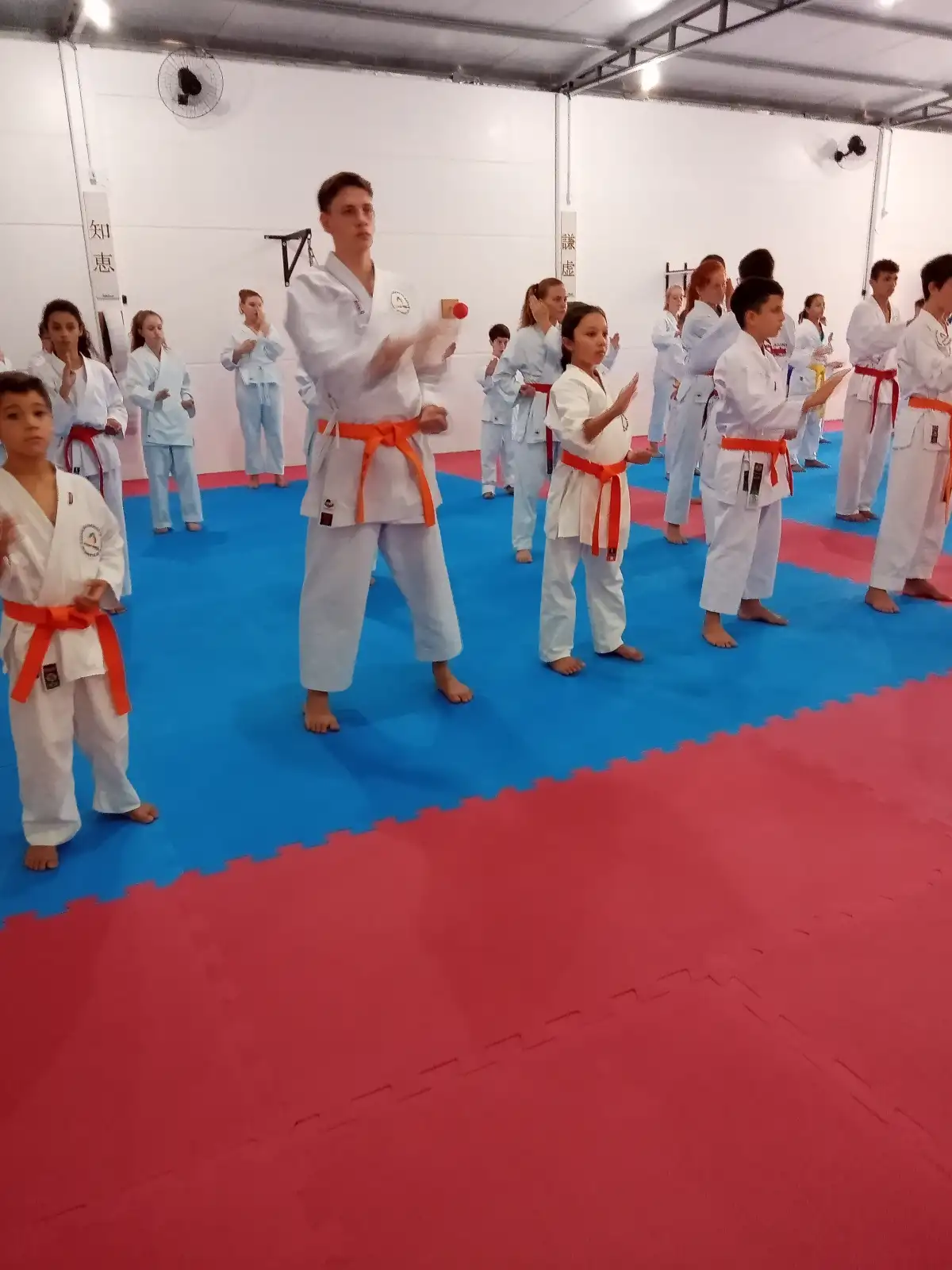 Curso Shiran Garcia