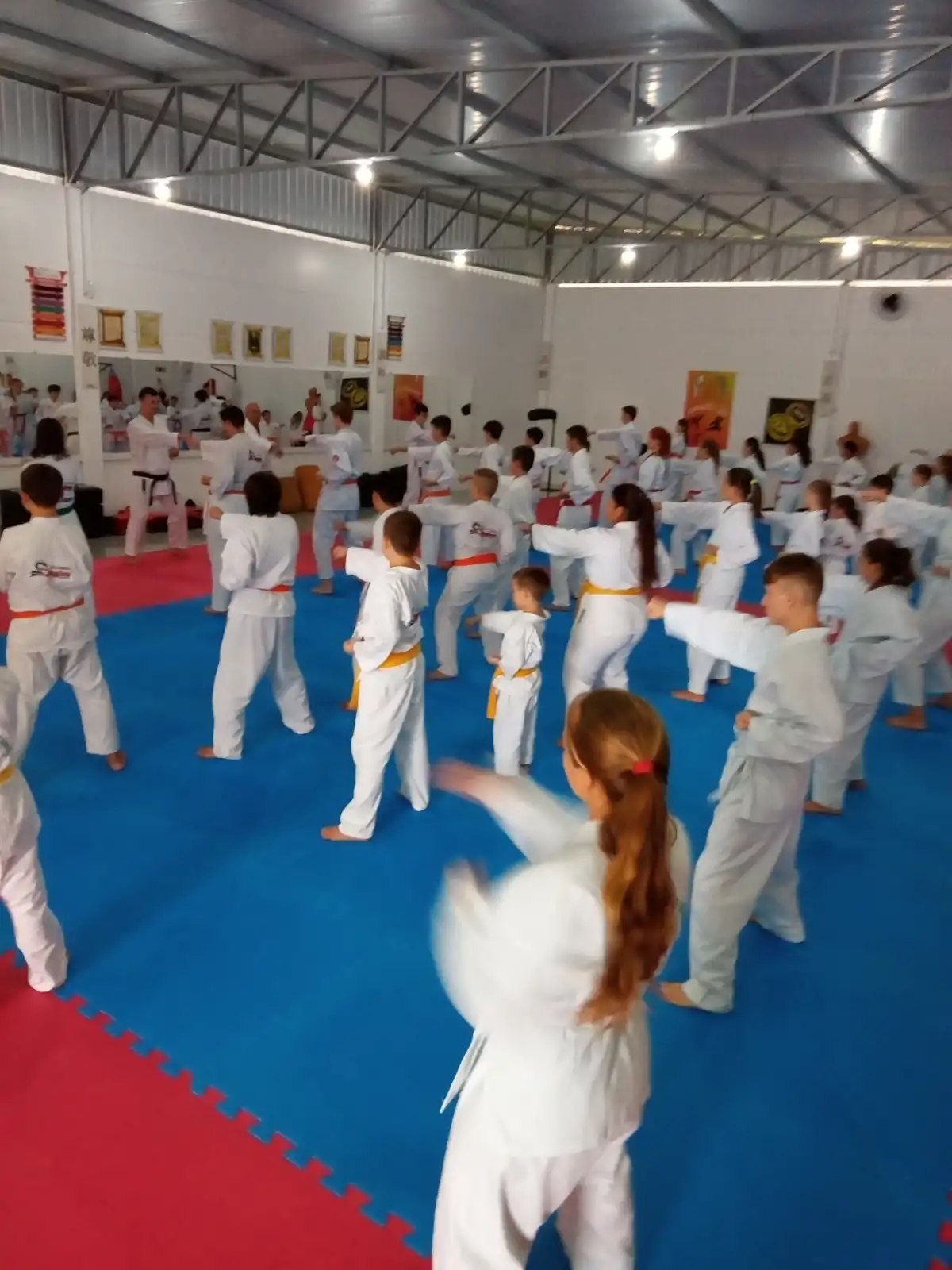Curso Shiran Garcia