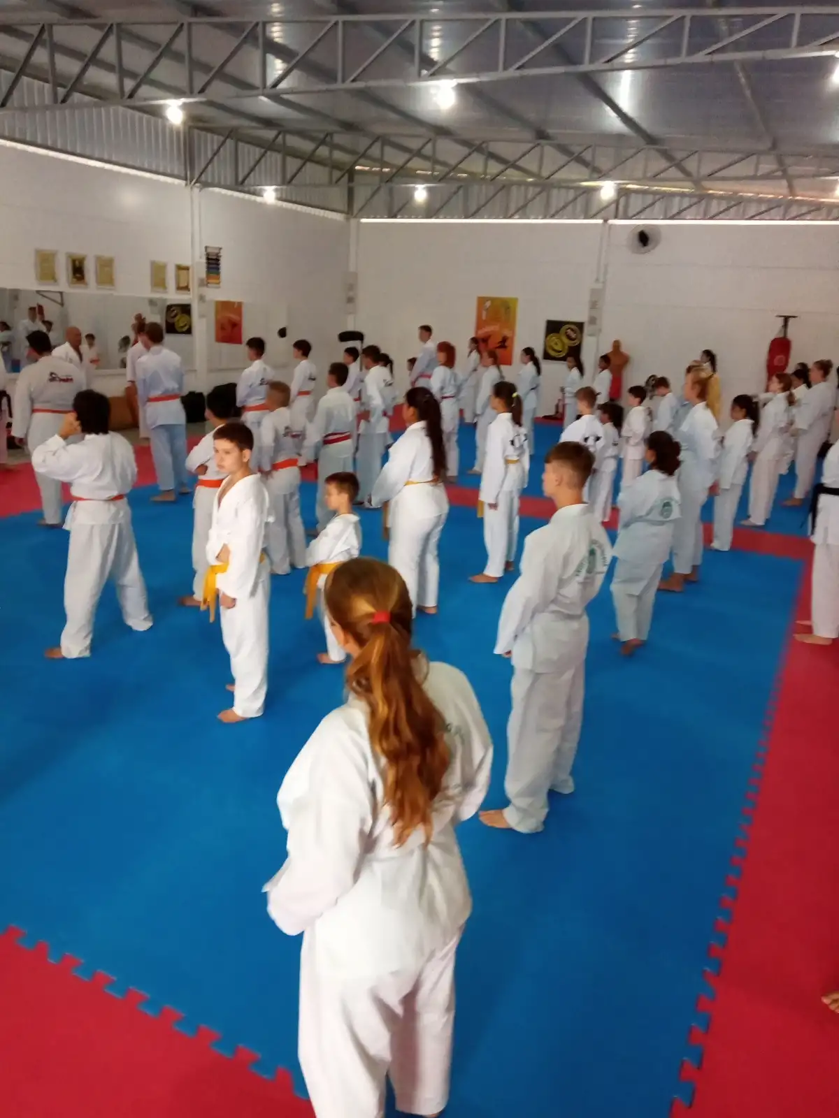 Curso Shiran Garcia
